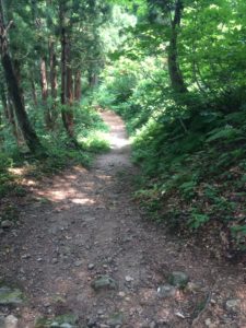 湯沢高原ハイキング