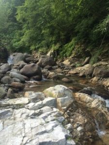 かっさダム渓流釣り