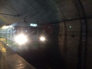 マリンブルーくじらみ