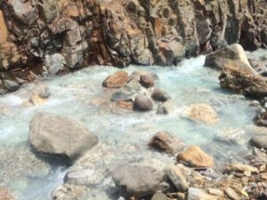 万座川イワナ発見？