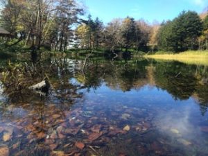 万座温泉の牛池