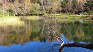 万座温泉牛池②