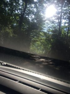 貝掛温泉林道②