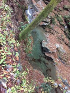 定峰川渓流釣り