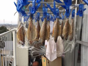 イワナを簡単に釣る方法を公開