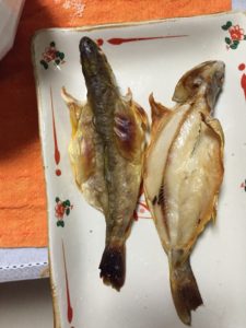 東京で簡単にイワナが釣れる場所を公開？