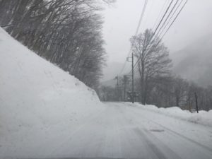 尾瀬戸倉の林道
