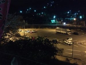 正丸峠カモシカ発見