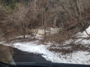 奥武蔵スキー場の復活?