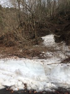 刈場坂峠で雪崩発生？
