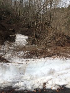 奥武蔵スキー場の雪質は？