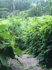 土樽駅の謎に迫る？