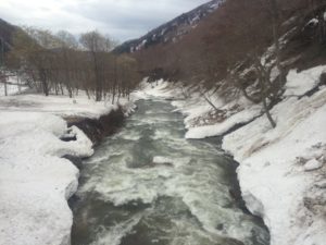 湯檜曽川渓流釣り