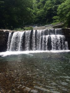 浦山川の爆釣り情報。ヤマメ&イワナ大量放流?