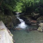 名栗川渓流釣り情報