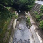 名栗川渓流釣り情報