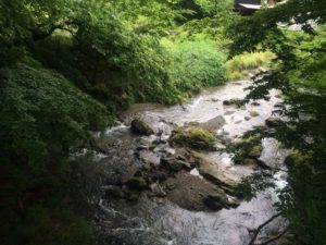 入間川の渓流釣り情報についてです。ポイントが続きます。有間ダム育ちの巨大なヤマメ（サクラマス）もいるかもしれませんね。