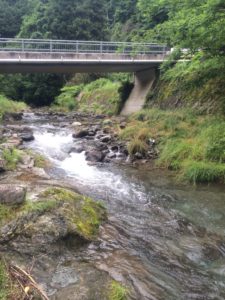 入間川の絶好のポイントです。