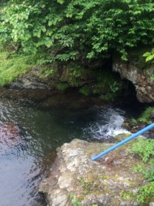 南川のポイント