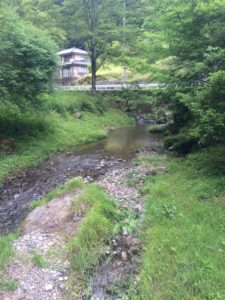 南川の渓流釣り