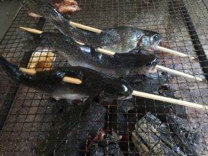 ニジマスの塩焼き