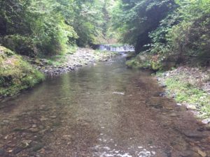 有間川で川遊び。綺麗です。