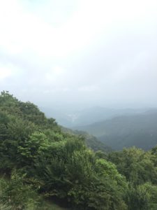 有間峠からの頂上