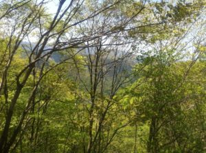 有間峠近くの風景