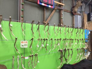 猟師工房で取れた野生動物