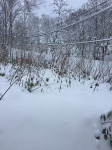 ニセコ町移住暮らし