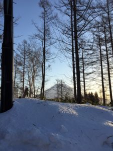 羊蹄山でスキーに挑戦?